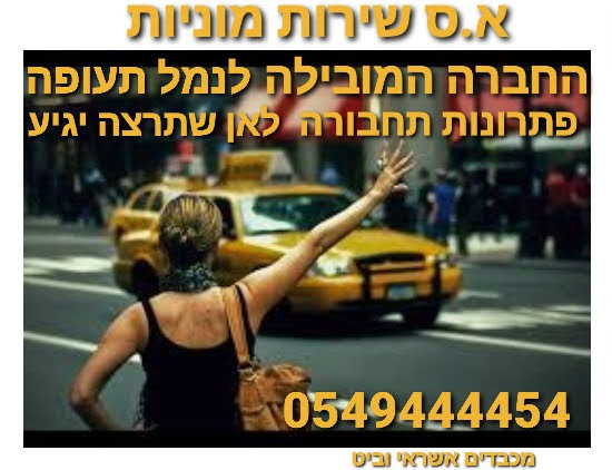 ���� ������ ������ ������