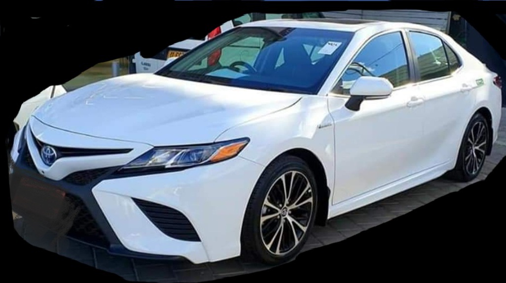 ���� ������ ������ ������