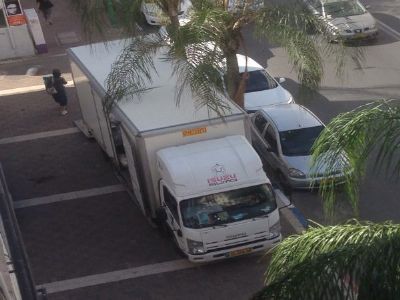 ����� ����