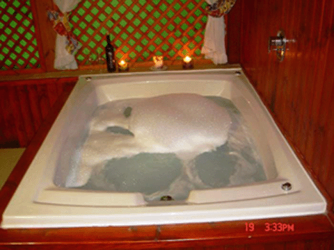 ���� ���� ������� ����� ���� �����